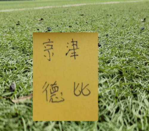 江湖故事最多！天津VS北京國安比賽裁判配置拉滿