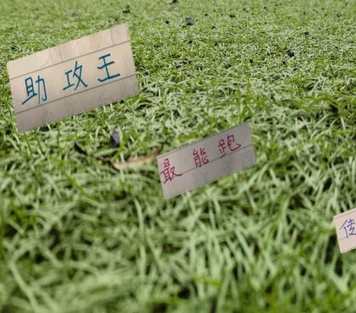 截至23輪官榜！射手助攻傳球成功率云南都是第一