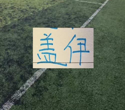 鋒線1米9+大個子球員才是北京國安苦主可惜蓋伊報銷