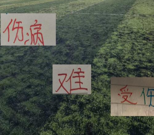聯(lián)賽還剩6輪情況下！海港申花北京國安目前在線傷員還有誰能回歸