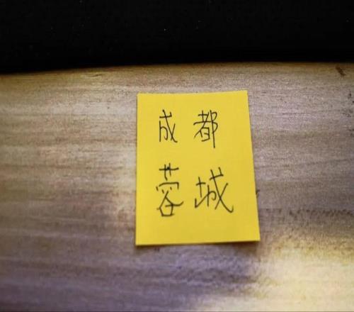 CCTV16轉播成都對決申花比賽進了9球北京國安主場被絕平