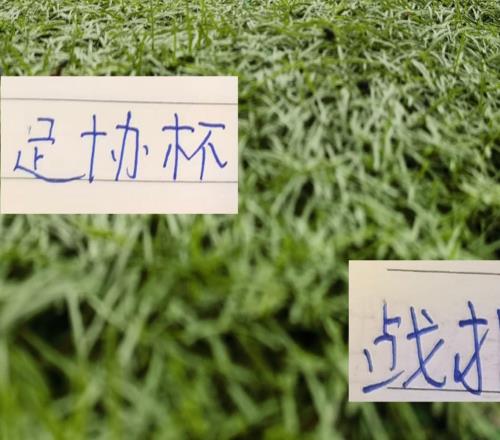 足協杯淘汰賽！北京國安順利晉級！