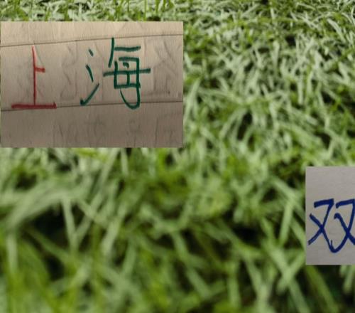 海港外援進球加起來沒申花拉唐多！近兩場比賽都是后衛進球