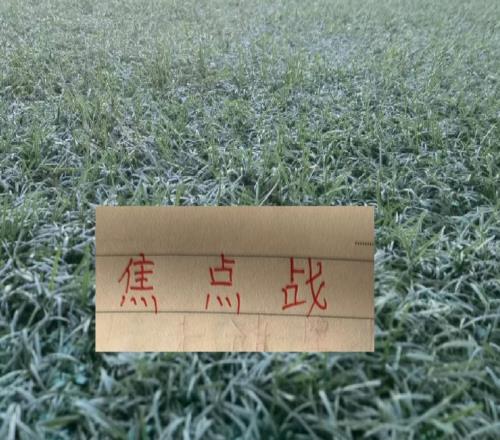 成都蓉城要輪換5人北京國安多名主力來不了雙方教練明牌來打