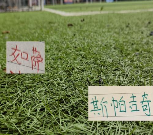 第20輪焦點戰！北京國安首發五外援成都蓉城茹薩終于能出場了