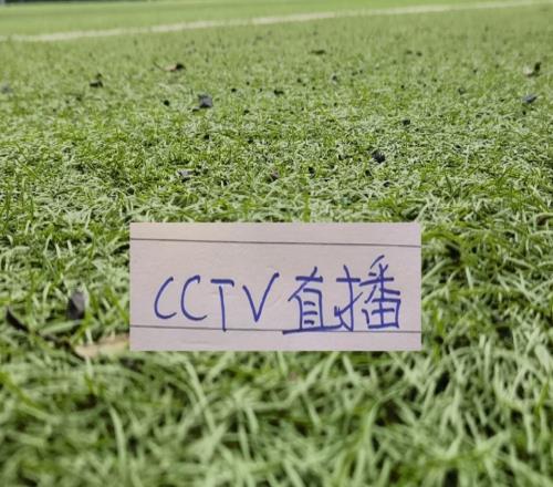 中超第21輪預告周末河南VS大連英博海港VS山東比賽都有央視直播
