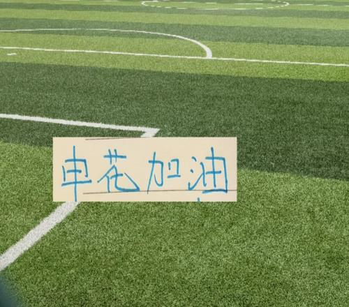 申花官宣8月賽歷！并沒有跟北京國安的補賽
