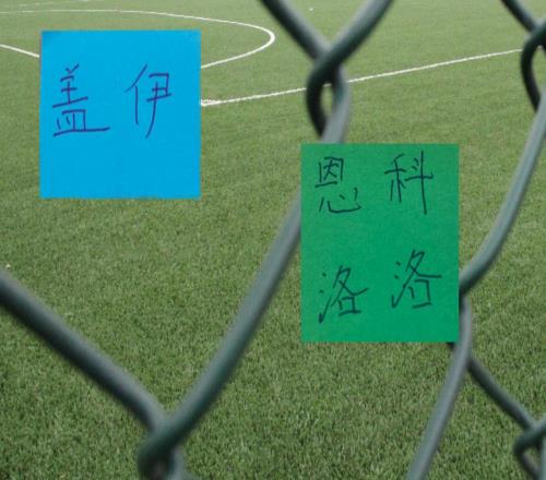 申花蓋伊北京國安恩科洛洛海港加布里埃爾這些被撤銷外援誰最可惜