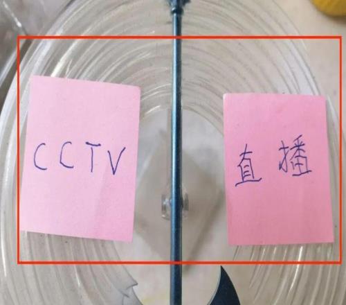 中超資訊：第22輪CCTV直播有3場申花前主帥不愿意為錢勉強繼續
