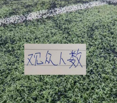 第22輪現(xiàn)場(chǎng)觀眾！重慶跟海港比賽有5萬多人
