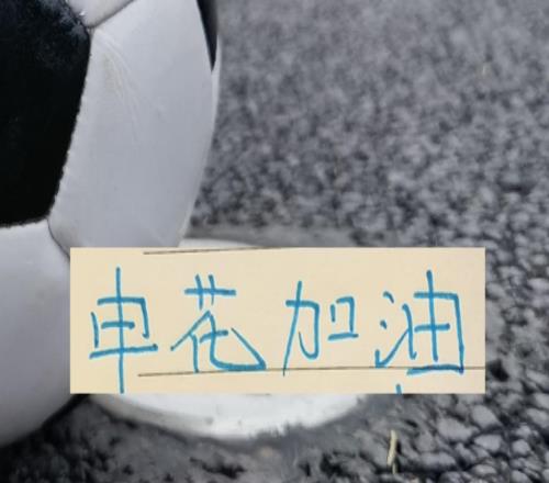 申花8月剩余4場12分能從河南北京國安領頭羊蓉城山東身上誰拿分