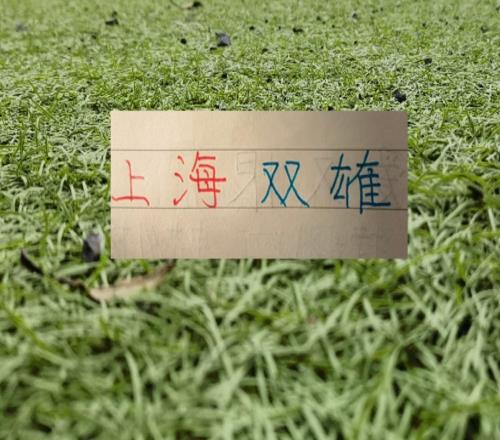 中超第23輪！申花主場迎河南海港客戰武漢