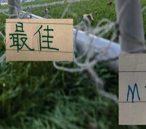 中超官方第19轮MVP候选申花比赛进球两个天津球员入围