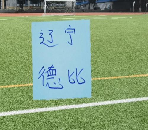 辽宁德比!11号马莱莱踢满全场