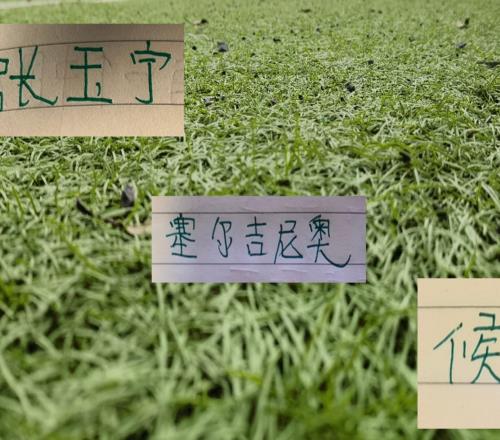 第18轮官榜!久违单轮最佳球员评选回来张玉宁+侯森入选跑动榜是塞鸟入围