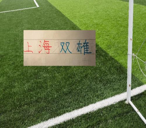 第24轮积分榜!上海双雄都进入前10名距离第2名海港差7分,申花差8分