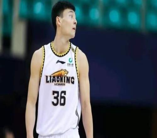 什么情况鄢手骐进入自由球员名单,辽篮放弃执行+1选项,会离队吗