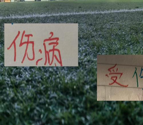 北京国安第25轮!斯帕吉奇孔特再次缺席大连英博马莱莱也没进大名单