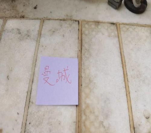 阿森纳球迷对切尔西标王说应加盟豪门周五豪门拜仁有央视CCTV直播前北京国安外援金玟哉依然在球队效力