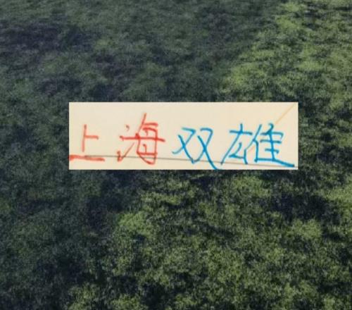 中超第26轮!申花虽然赢了,但他们还是落后海港1个名次今年能反超海港吗