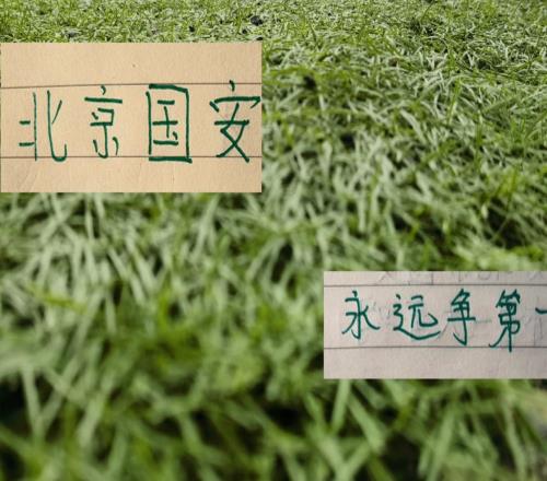 北京国安亚冠精英赛3大主力缺席但他们比申花好的是蒙哥马利手握8名外援