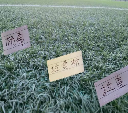 本赛季上海双雄+御林军最成功引援海港是杨希申花是拉唐北京国安是拉莫斯