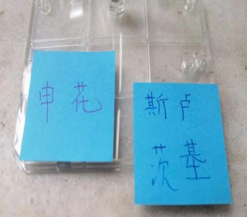 辽宁外援热菲说中超强度大过法甲前俄罗斯教练说申花2名中后卫比俄罗斯任何中卫强