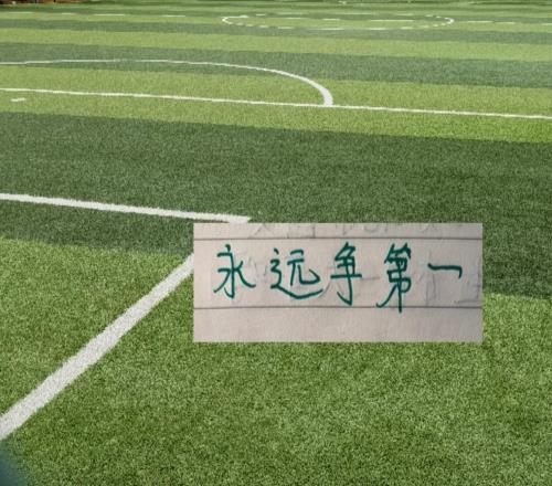北京国安足协杯无法最强阵容出征