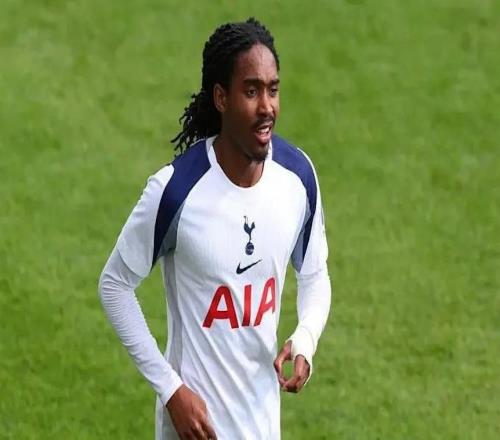 国米寻替补未果或签回佩里西奇，37岁老将成最现实选择