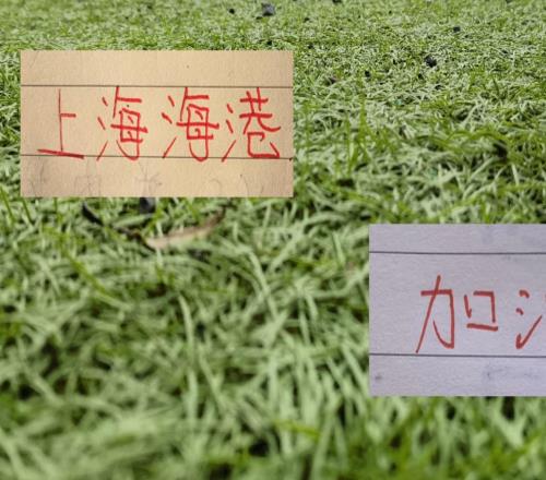 足协杯8强CCTV5直播两场！海港能否延续2023年以来都有冠军势头就看这场