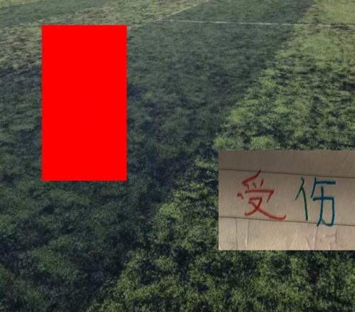 中超第26轮！御三家百分百无法出战球员申花有米内罗北京国安有达万