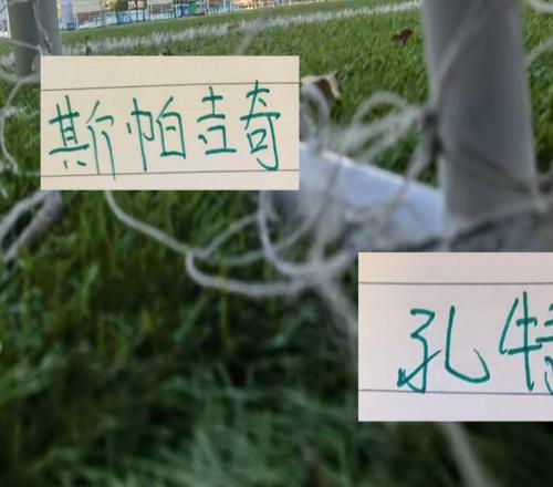 北京国安亚冠首战依旧面临伤病困扰斯帕吉奇孔特林良铭都没上场