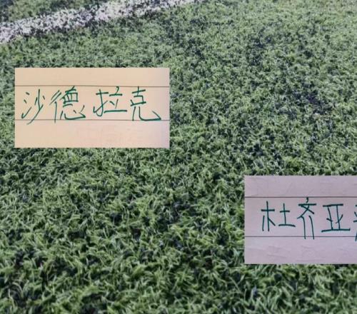 北京国安新买“跑车”沙德拉克30分钟就坏了网友说没事只是掉块漆补补还能开