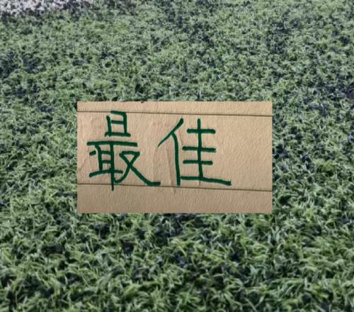 官方！中超第20轮最佳球员公布北京国安张玉宁获选