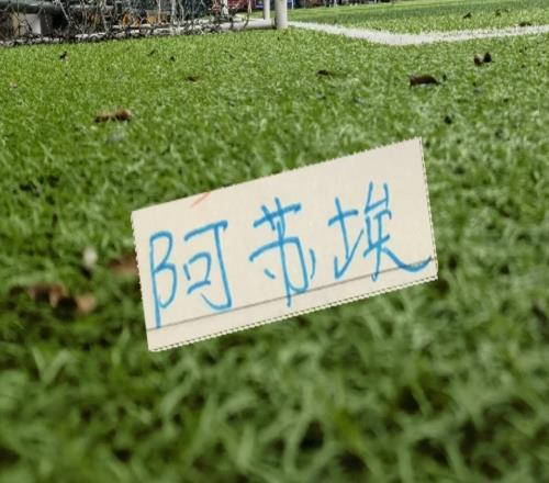 阿苏埃算是申花“大腿”去年北京国安工体破魔咒今年成都凤凰山帽子戏法