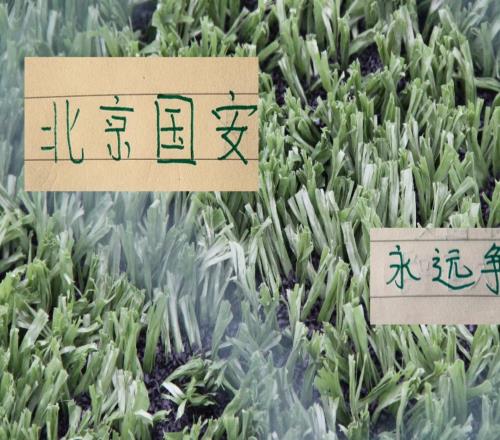 带领球队14场不败后蒙哥马利是近几年最适合北京国安主帅吗