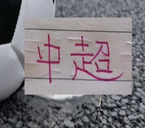 第25轮中超16球队点评北京国安达万红牌禁赛海港战略成功