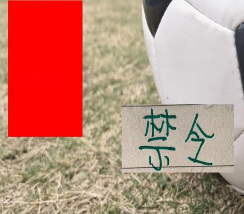 联赛还剩4场！申花米内罗北京国安达万成都蓉城韦世豪本赛季中超之旅已结束