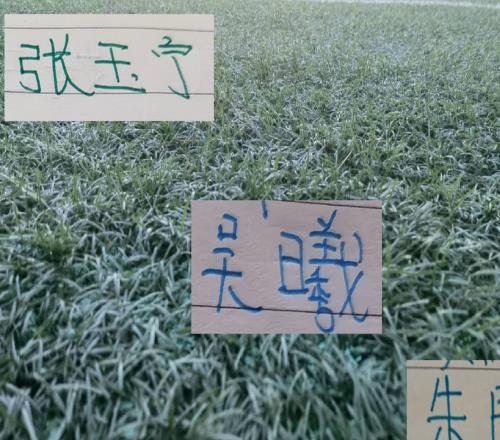 申花的队长北京国安的射手能带领U23在亚运会走得更加远吗