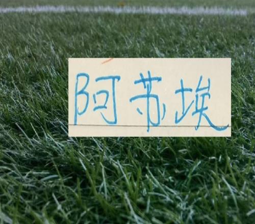 北京国安跟海港都有非洲外援进球压力也是给到申花的阿苏埃